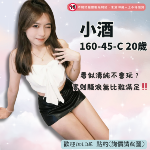 桃園老司機帶路