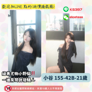 桃園小隻馬妹妹